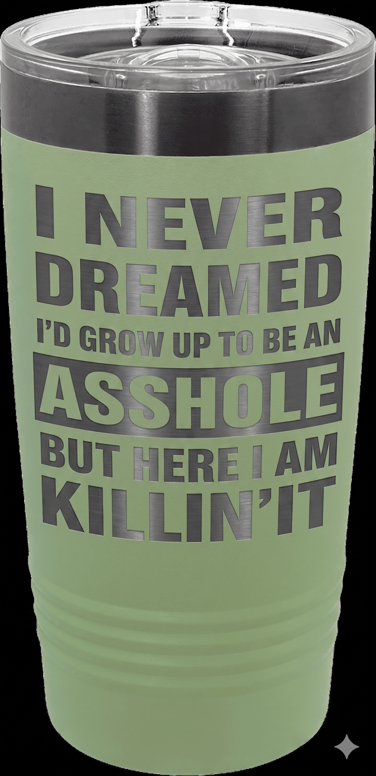 I Never Dreamed
